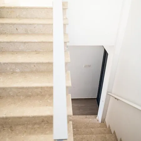 View * プロタラス